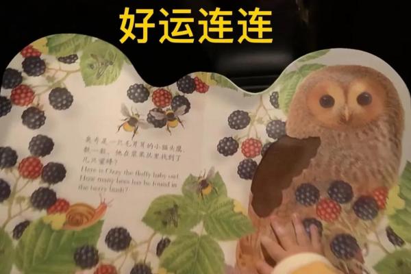算命说贵人是自己