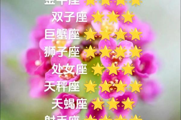 双子座今日财运运势查询_双子座今日运势财运方位