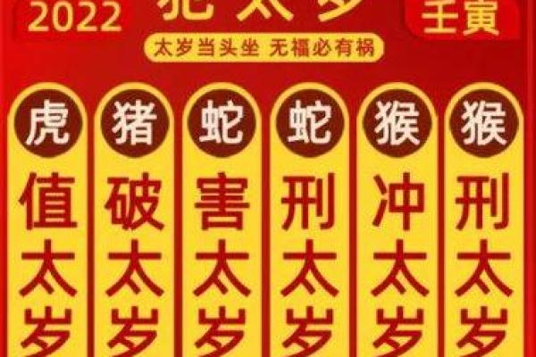 属鼠犯太岁最不宜做什么