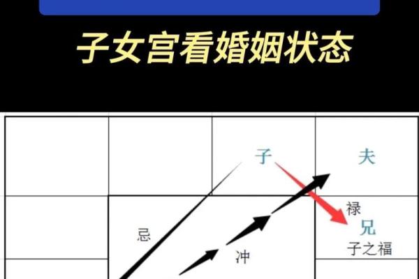 紫薇盘怎么看,紫薇盘怎么看婚姻