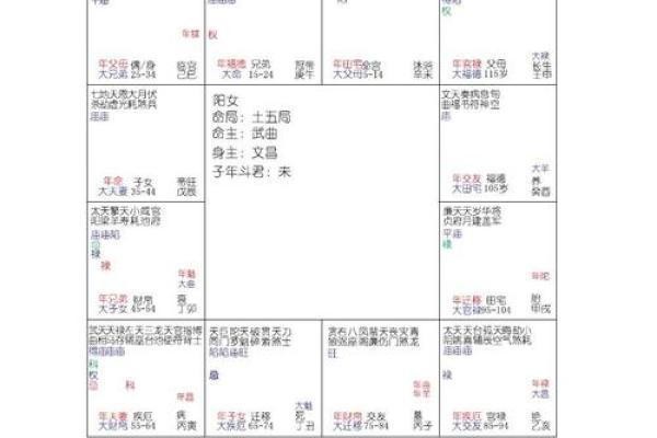 紫薇流年盘怎么解读,怎么看流年走到哪个宫