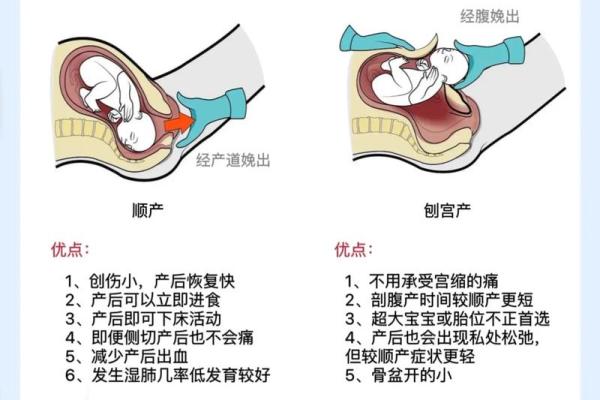 2024年12月剖腹产日期选择 宝宝降临的幸运时刻