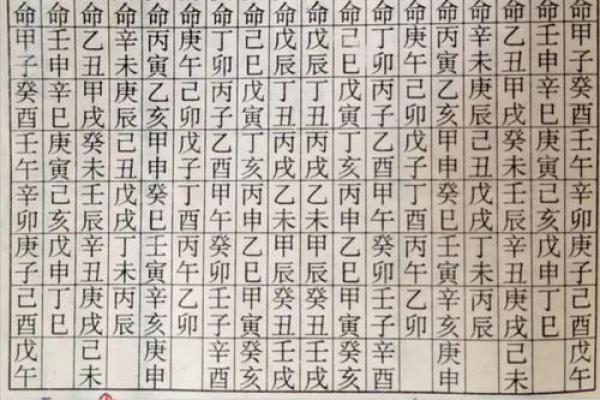 合婚表，合婚表文怎么写