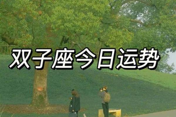 星座屋独家解析双子座近期运势大揭