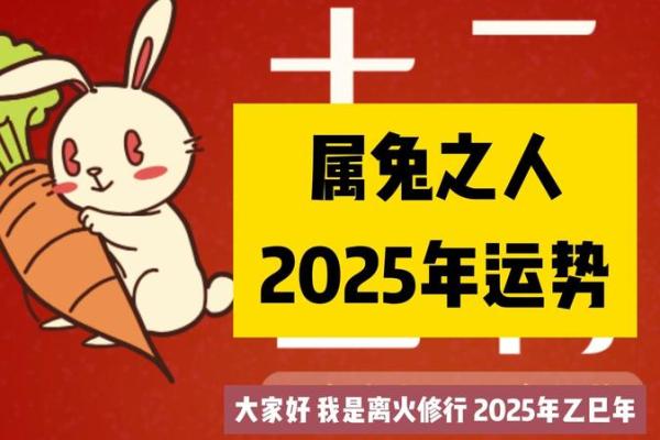 99年属兔五行属什么 1990属马五行属什么命格