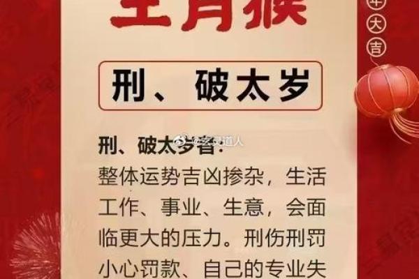 2003年属羊是什么命_2004年属猴是什么命