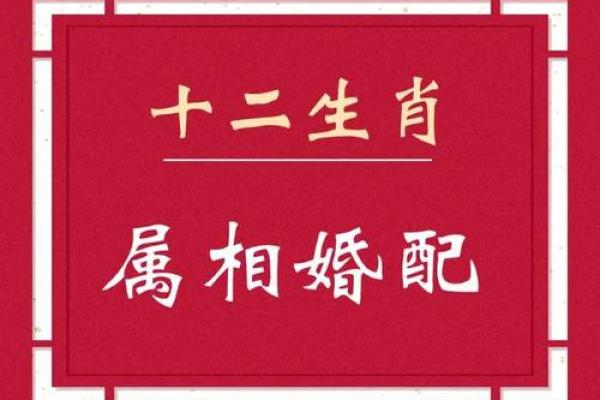 属牛和属羊的适合做夫妻吗 牛跟猴的属相适合做夫妻吗