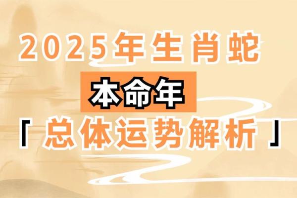 属龙在2025蛇年的运气 2025年属龙的运势及运程1988