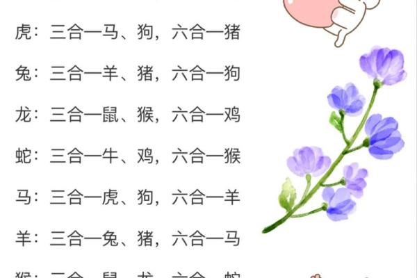 1946年属什么生肖揭秘属相背后的历史与文化