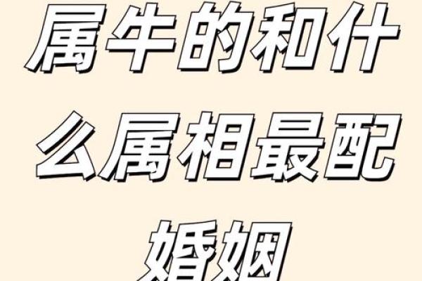1997年属牛女最佳配偶属相 1997年属牛女最佳配偶属相解析完美婚配指南