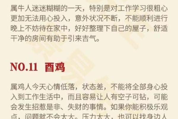 1980年属什么生肖揭秘生肖属相与命运解析