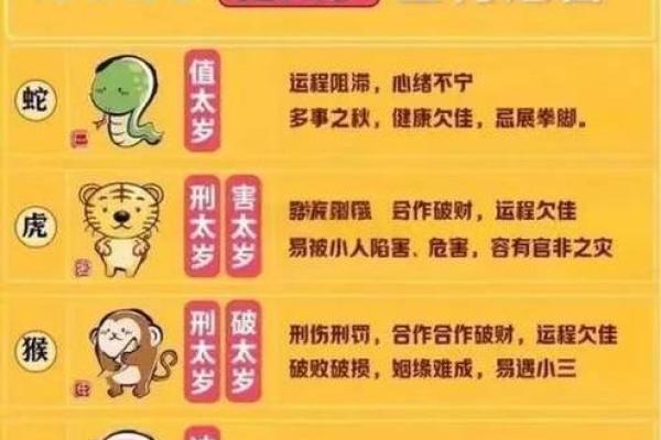 1980年属什么生肖揭秘生肖属相与命运解析
