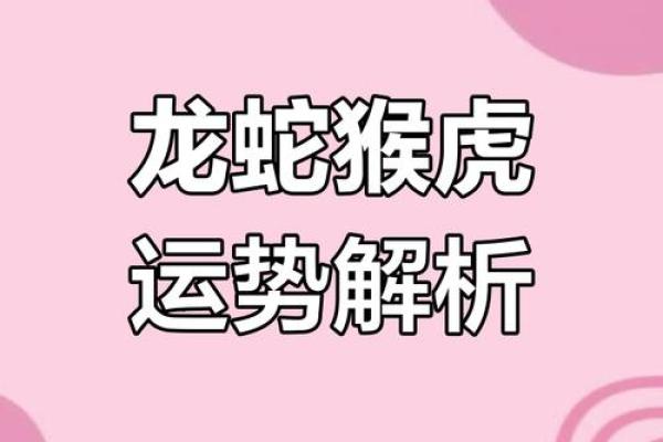 属龙人2025年的运势及运程_属龙2023年运势及运程_2025年属龙人的全年运势