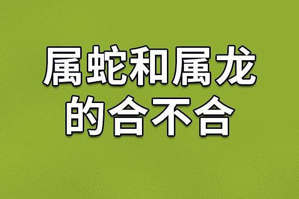 属龙的蛇年运势怎么样_属龙蛇人2021年的运势及运程