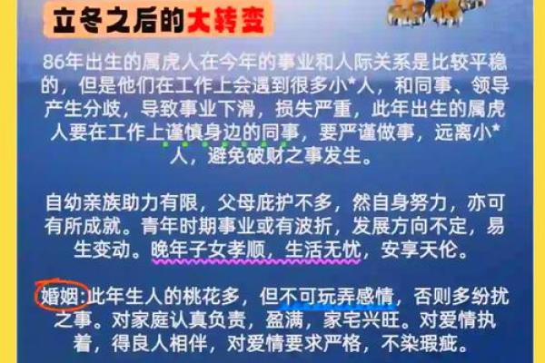 属虎哪天出生最有出息揭秘最佳出生日期