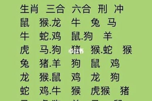 6岁属什么生肖 67岁属什么生肖