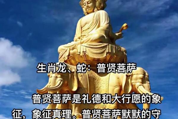 属龙月蛇最有福气_属龙蛇月份出生的命运最好