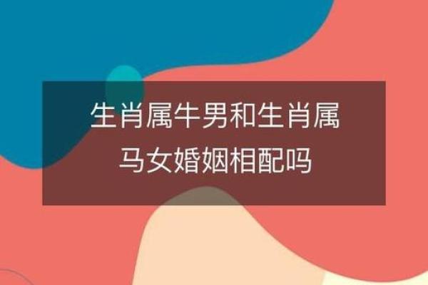 牛男和什么属相最配_男牛和女鼠的属相适合做夫妻吗