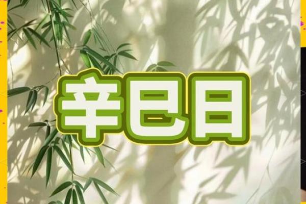 313是什么日子揭秘这个特殊日子的意义