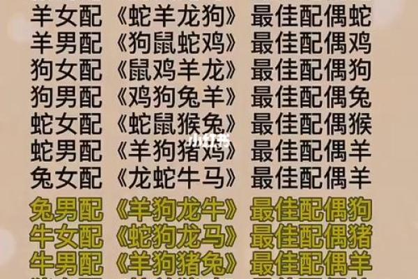 属马配什么属相最好 属马最佳婚配属相解析幸福婚姻的秘诀