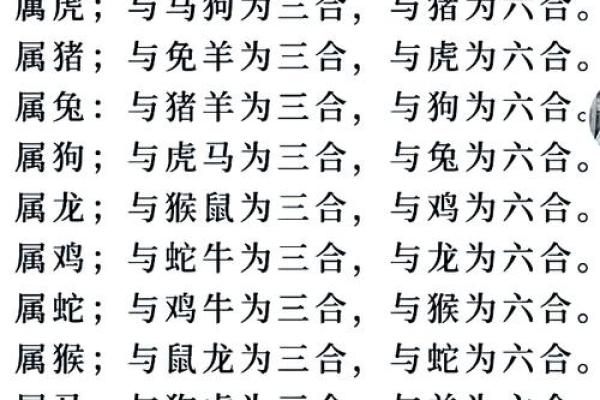 蛇三合和六个合生肖_蛇三合与六合生肖揭秘最佳生肖配对与运势提升