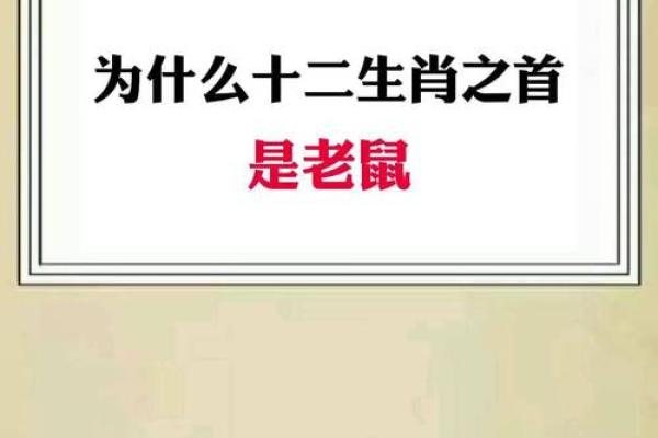 大将生肖揭秘十二生肖中谁是大将之选