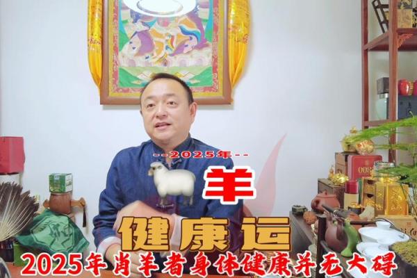 2025年属羊人全年运程 2025属羊人全年运程详解运势走势与关键月份提醒