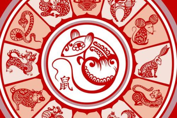 神不守舍指什么生肖 神不守舍指什么生肖揭秘12生肖中的神秘象征