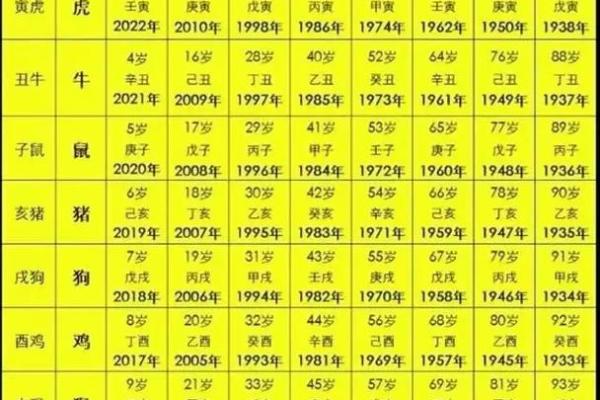 00年属什么的生肖 00年属什么生肖揭秘2000年出生者的生肖属性
