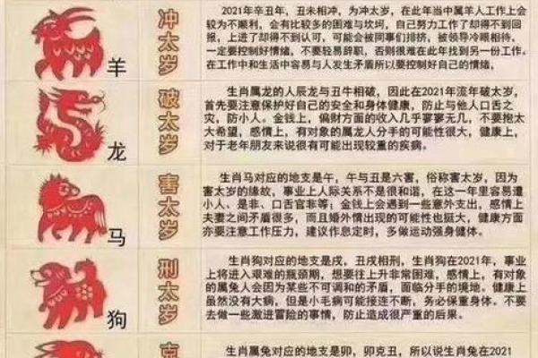 50岁今年属什么生肖 2024年50岁属什么