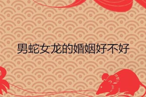 属蛇与什么属相配对最佳_属蛇最佳配对属相揭秘幸福婚姻的生肖密码