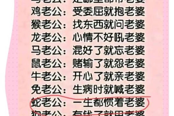 属蛇与什么属相配对最佳_属蛇最佳配对属相揭秘幸福婚姻的生肖密码