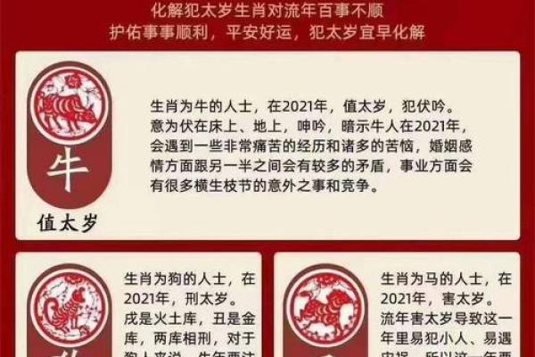 今年49岁属什么生肖_今年49岁属什么生肖2020年