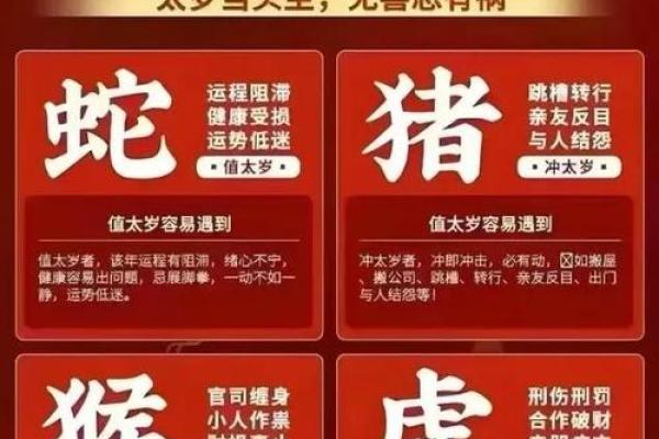 红颜薄命代表什么生肖 红颜薄命代表什么生肖揭秘命运与生肖的关联