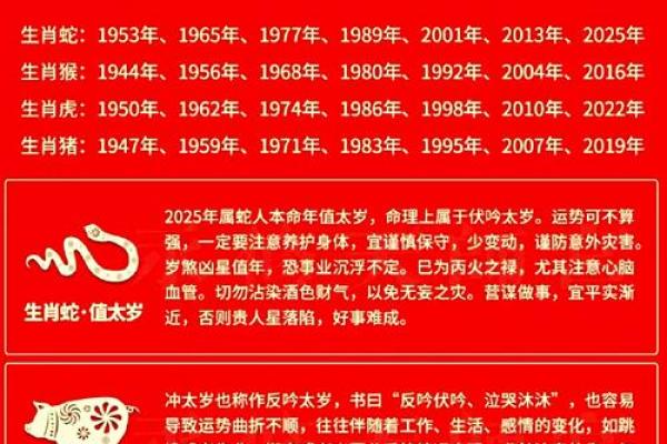 2025年属龙刑太岁运势解析及化解方法