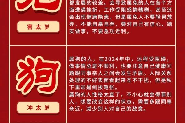 2025年属龙刑太岁运势解析及化解方法