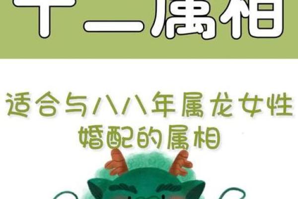 龙和什么属相最配_龙年最佳婚配属相揭秘龙与哪些生肖最相配
