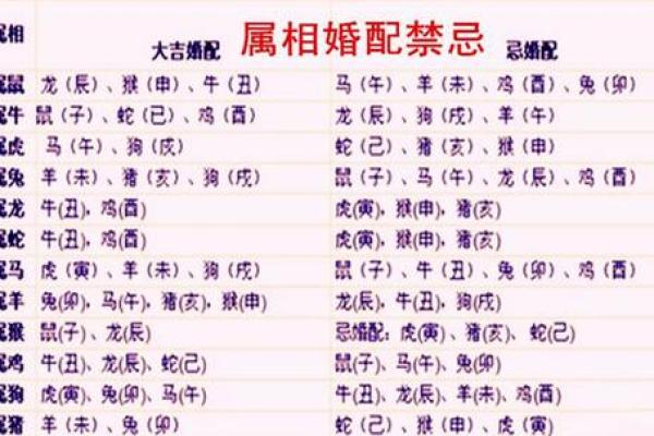 龙和什么属相最配_龙年最佳婚配属相揭秘龙与哪些生肖最相配