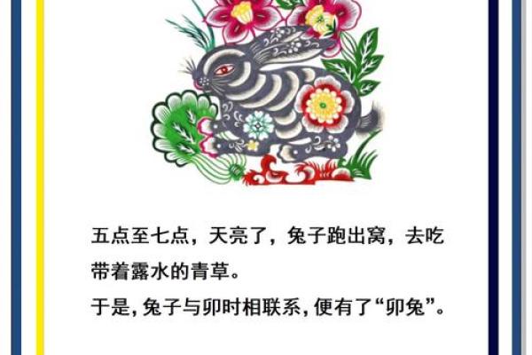 草木皆兵打正确生肖揭秘十二生肖中的隐藏玄机