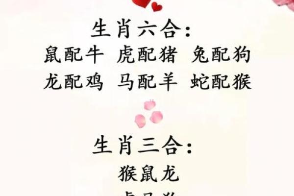 鸡牛属相合吗揭秘生肖配对的最佳组合