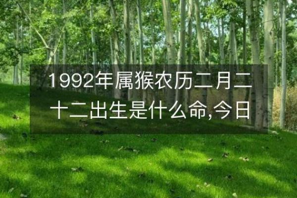 12年属什么生肖 1992年属什么生肖