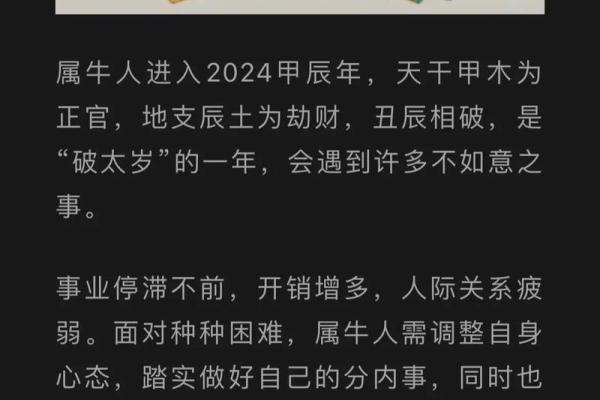 1988年属龙人2024年运势 1988年属龙人2024年运势及运程每月运程详解