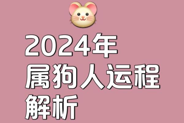 属狗年是哪几年生的详细年份解析与运势分析