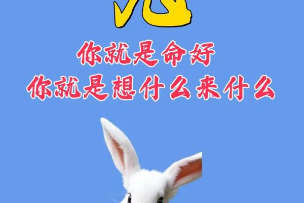 75年属什么生肖 1975年属什么生肖