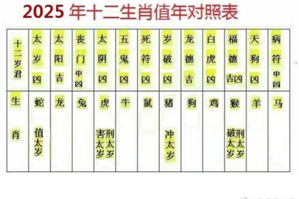 东宫西宫各分半代表什么生肖_东宫西宫打一数字