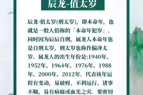 2014年属什么生肖