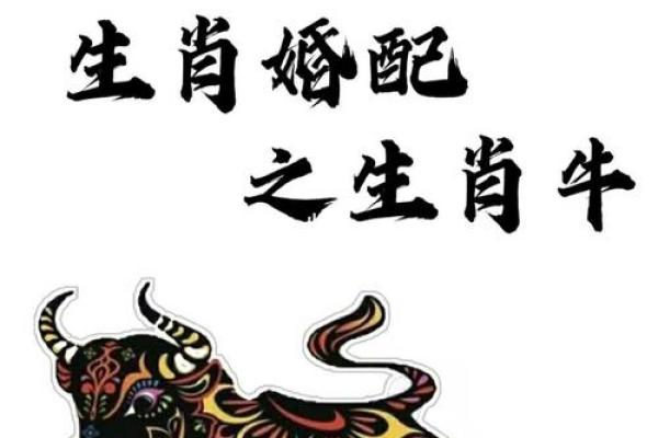 属牛最佳配偶属相_属牛最佳配偶属相揭秘最合拍的生肖配对