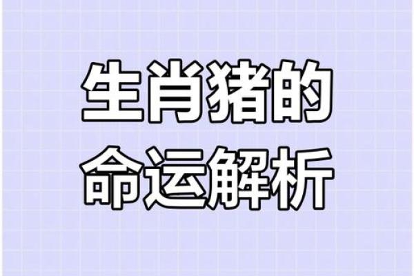 猪年是哪几年生的_猪年是哪几年生的今年几岁