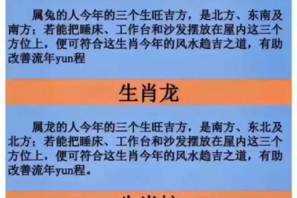 属龙的蛇年运势2025年运程 属龙人2025年运程