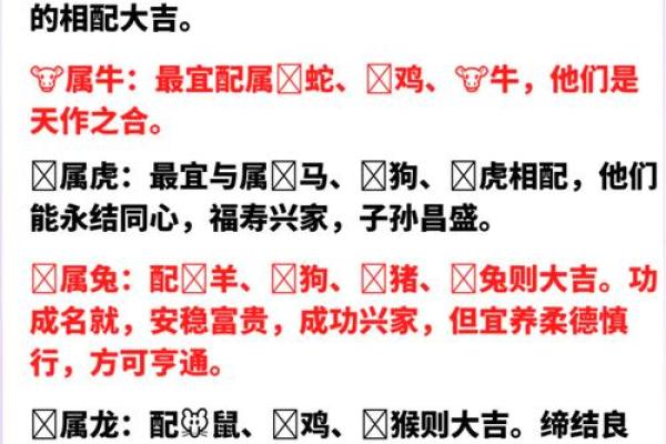 1996年属什么生肖配对最好_1996年属鼠的最佳婚配